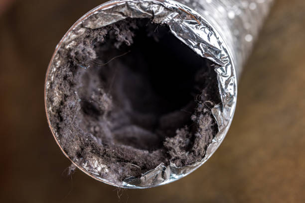 Best Duct Cleaning for Homes  in Mission Hills, CA